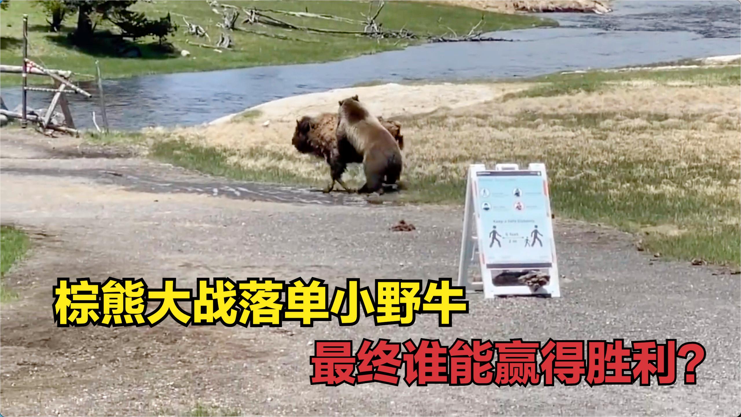 欧预赛再启战火，势均力敌谁能胜出